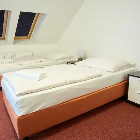 Hotel Lasakuv Mlyn 3*